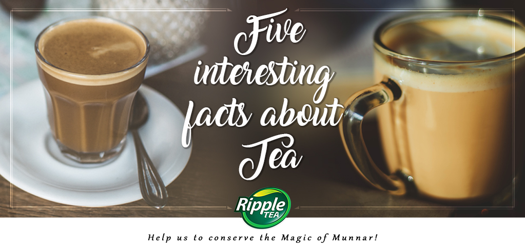 Five interesting facts about Tea